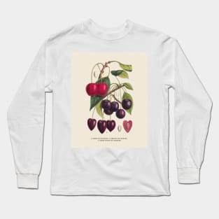 Cherry Antique Botanical Illustration Long Sleeve T-Shirt